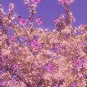 Meet your Posher, Tia